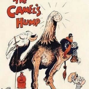 The Camel's Hump - Art Print