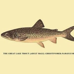 The Great Lake Trout by H.H. Leonard - Art Print