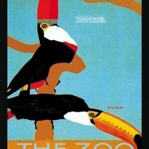 The London Zoo: South American Toucans by Tony Castle - Art Print