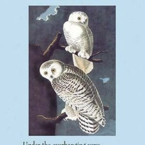 The Owls by Charles Baudelaire - Art Print