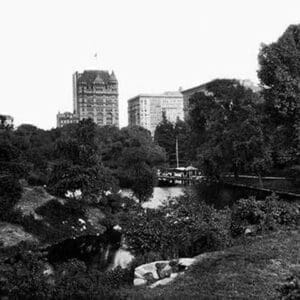 The Pond in Central Park