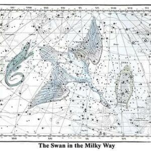 The Swan in the Milkyway by Alexander Jamieson - Art Print