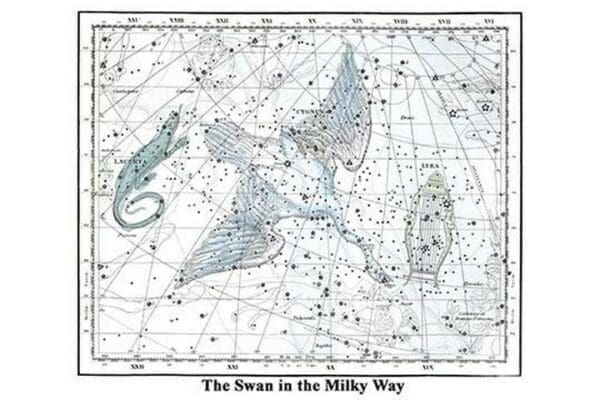 The Swan in the Milkyway by Alexander Jamieson - Art Print