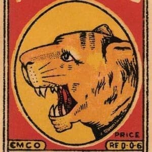 Tiger Head Safety Matches - Art Print