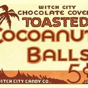 Toasted Cocoanut Balls #2 - Art Print