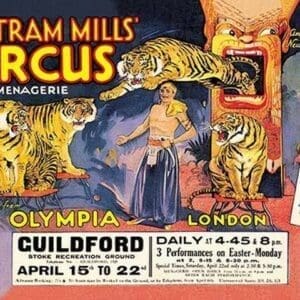 Togare and his Tigers: Bertram Mills' Circus and Menagerie - Art Print