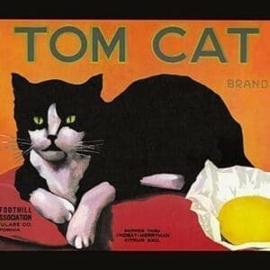 Tom Cat Brand - Art Print