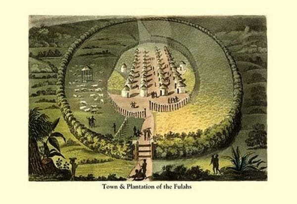 Town and Plantation of the Fulahs - Art Print