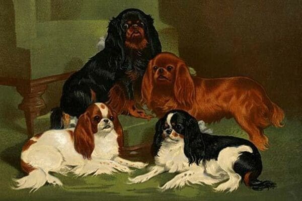 Toy Spaniels by Vero Shaw - Art Print