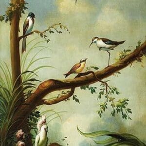 Tropical Birds by Ira Monte - Art Print