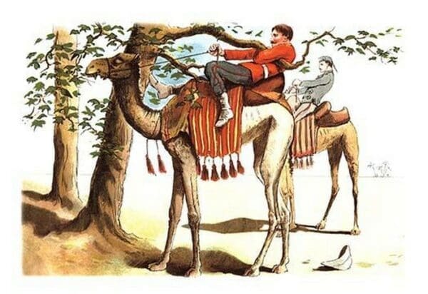 Troubles with a Camel by Richard Simkin - Art Print