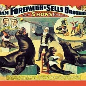 Troupe of Marvelously Educated Sea Lions and Seals: Adam Forepaugh and Sells Brothers Shows - Art Print