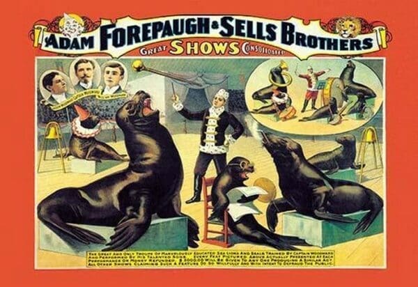 Troupe of Marvelously Educated Sea Lions and Seals: Adam Forepaugh and Sells Brothers Shows - Art Print