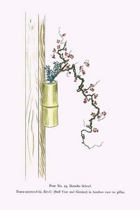 Tsuru-umemodoki & Rindo (Staff Vine and Gentian) in a Bamboo Vase by Josiah Conder - Art Print