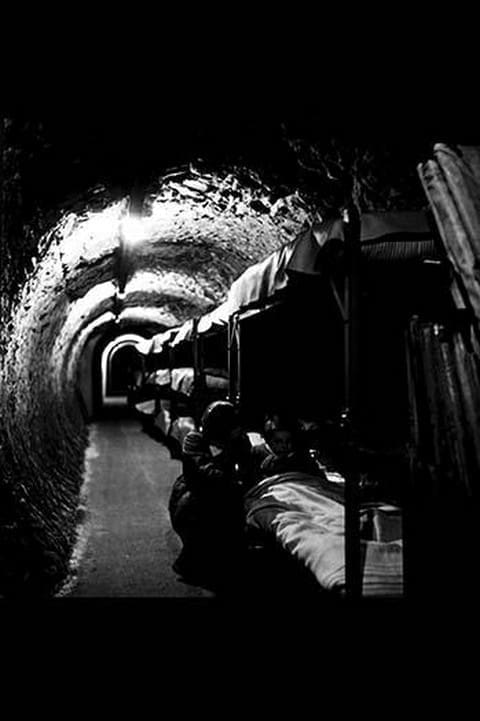 Tube Beds by Toni Frissell - Art Print