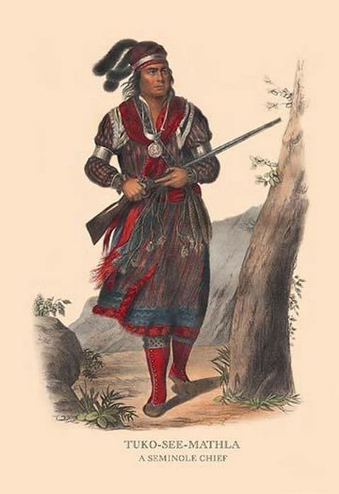 Tuko-See-Mathla (A Seminole Chief) by Mckenney & Hall - Art Print