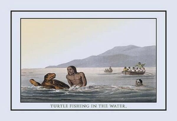 Turtle Fishing In The Water by J.H. Clark - Art Print