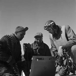 Tuskegee airmen Roscoe C. Brown