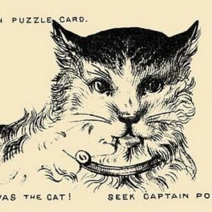 Twas The Cat. Seek Captain Porter by Theo Leonhardt & Son - Art Print