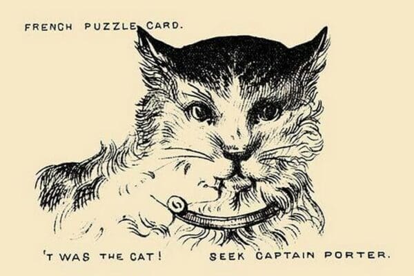 Twas The Cat. Seek Captain Porter by Theo Leonhardt & Son - Art Print