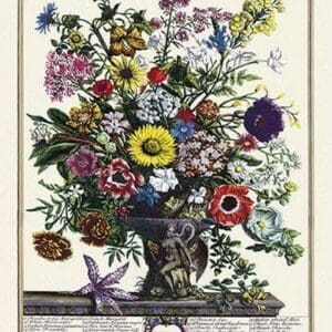 Twelve Months of Flowers - Art Print