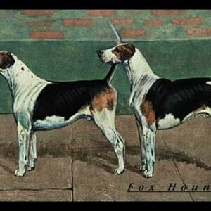 Two Fox Hounds - Art Print