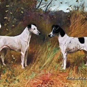 Two Fox Terriers - Art Print