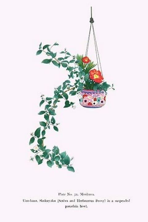 Uno-Hana and Shakuyaku (Scabra & Herbaceous Peony) in a suspended porcelain bowl by Josiah Conder - Art Print