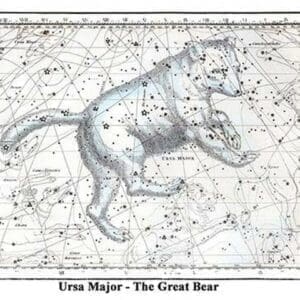 Ursa Major - The Great Bear by Alexander Jamieson - Art Print