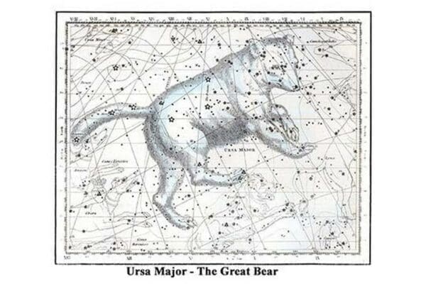 Ursa Major - The Great Bear by Alexander Jamieson - Art Print