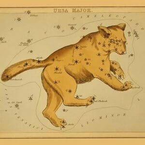 Ursa Major by Aspin Jehosaphat - Art Print