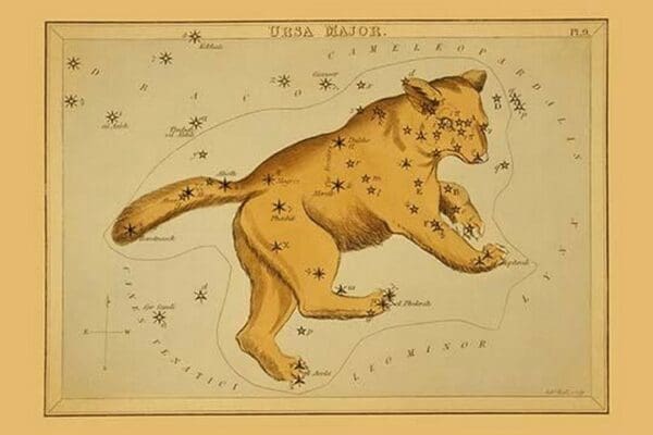 Ursa Major by Aspin Jehosaphat - Art Print