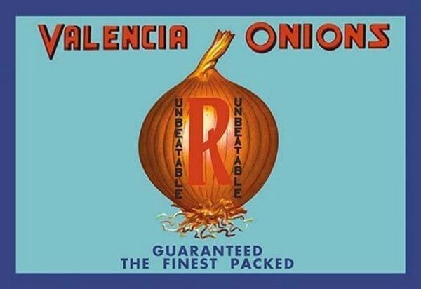 Valencia Onions - Art Print