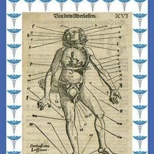 Vascular Surgery by Paracelsus - Art Print