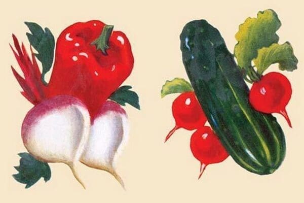 Vegetables #2 - Art Print