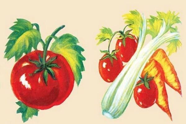 Vegetables - Art Print