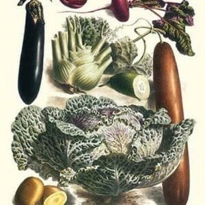 Vegetables; Cucumber