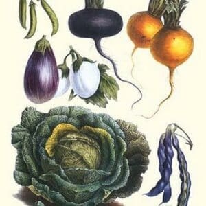 Vegetables; eggplant