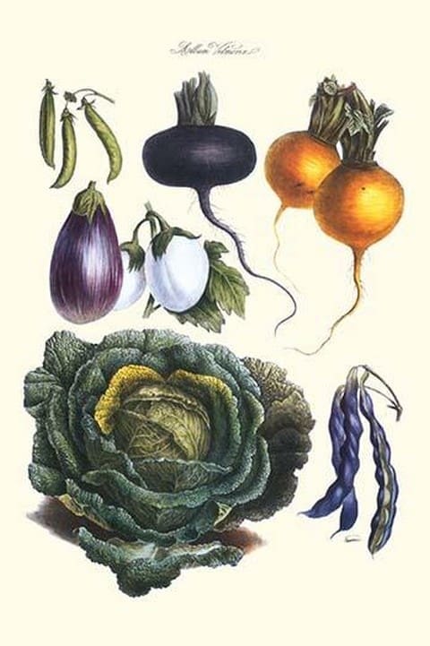 Vegetables; eggplant