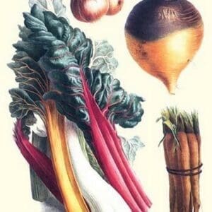 Vegetables; rhubard