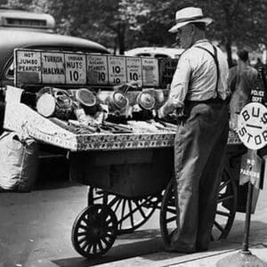 Vendor Pushcart sales of Nuts - Art Print