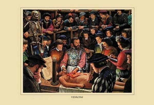 Vesallus by Robert Thom - Art Print