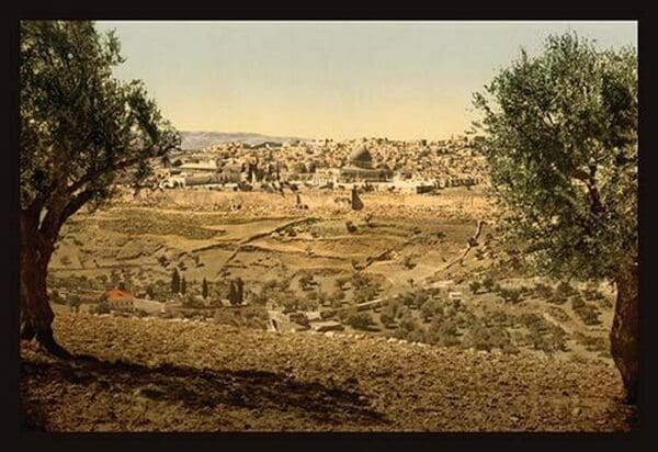 View from the Mount of Olives by Detroit Photographic Company - Art Print