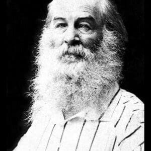 Walt Whitman by Mathew Brady - Art Print