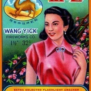 Wang Yick Fireworks - Art Print