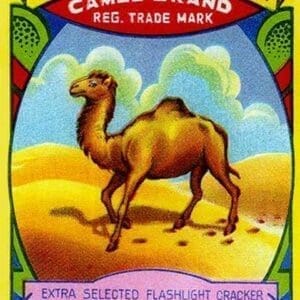 Wang Yick Fireworks Camel Brand - Art Print