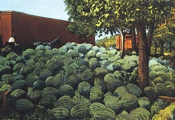 Watermelons - Art Print