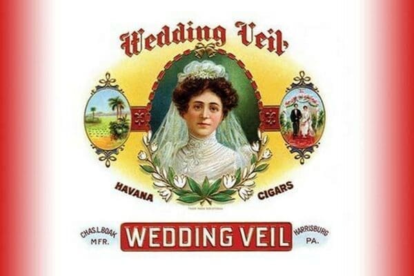 Wedding Veil - Art Print