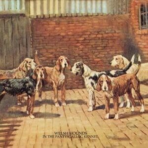 Welsh Hounds by  Thomas Ivester Lloyd - Art Print