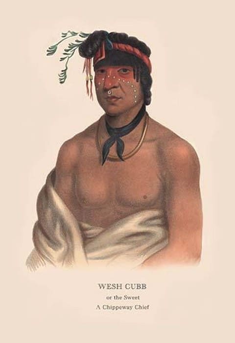 Wesh Cut; A Chippewah Chief) by Mckenney & Hall - Art Print